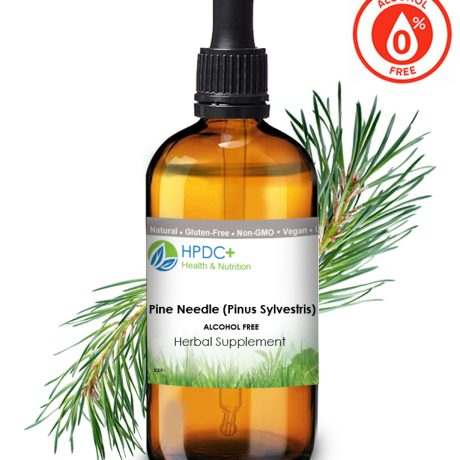 Buy Pine Needles - The Alcohol-Free Tincture/ Herbal Supplement in UK