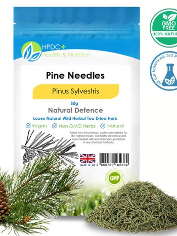 Dried Pine Needles Rich in Shikimic Acid & Vitamin C Brew Your Own Immune Boosting Tea