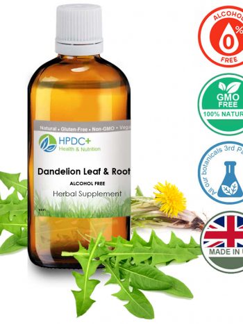 Dandelion Leaf & Root Alcohol Free Tincture Gentle Natural Liver Detox & Kidney Support