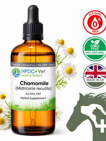 Chamomile Alcohol Free Tincture for Dogs & Pets Natural Calming, Anti Anxiety & Digestive Aid