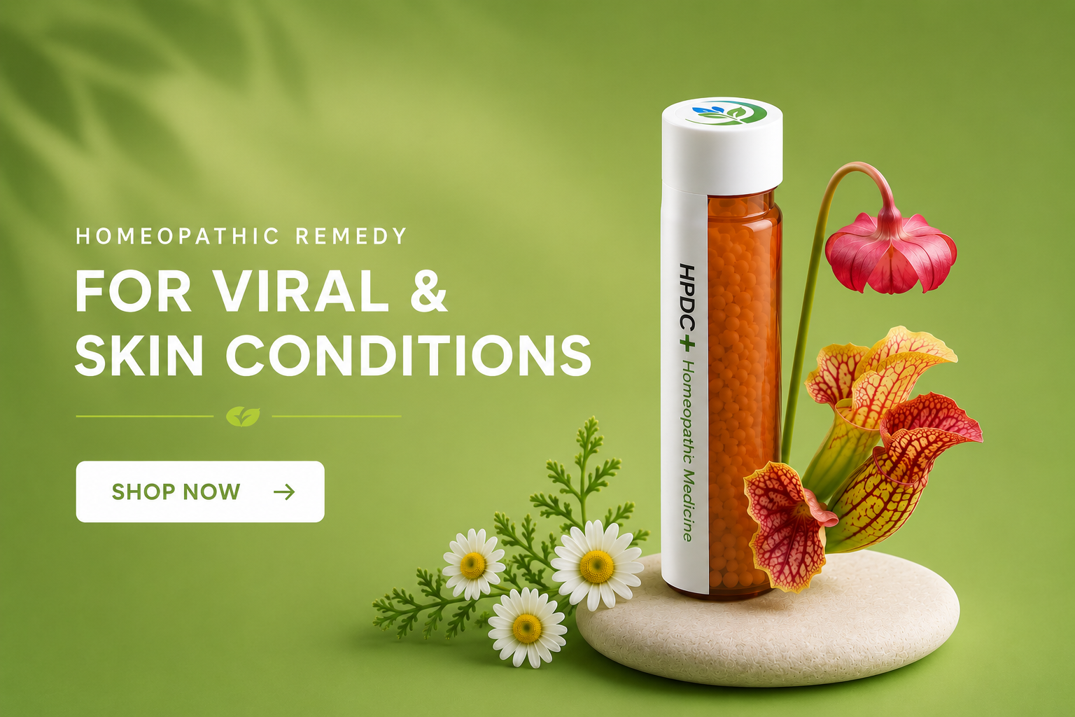 HPDC+ homeopathic medicine pillules vial on a pebble with pitcher plant flowers and daisies